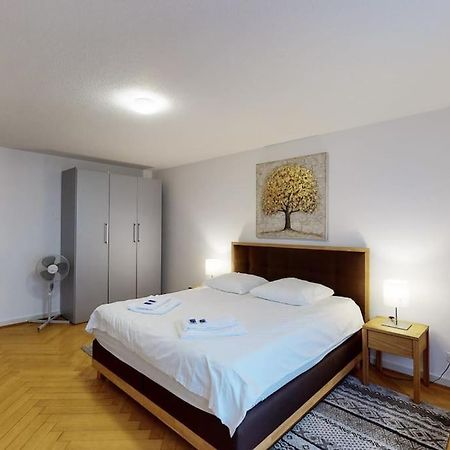 Bright 1 Bedroom Flat In The City Centre Цюрих Екстериор снимка